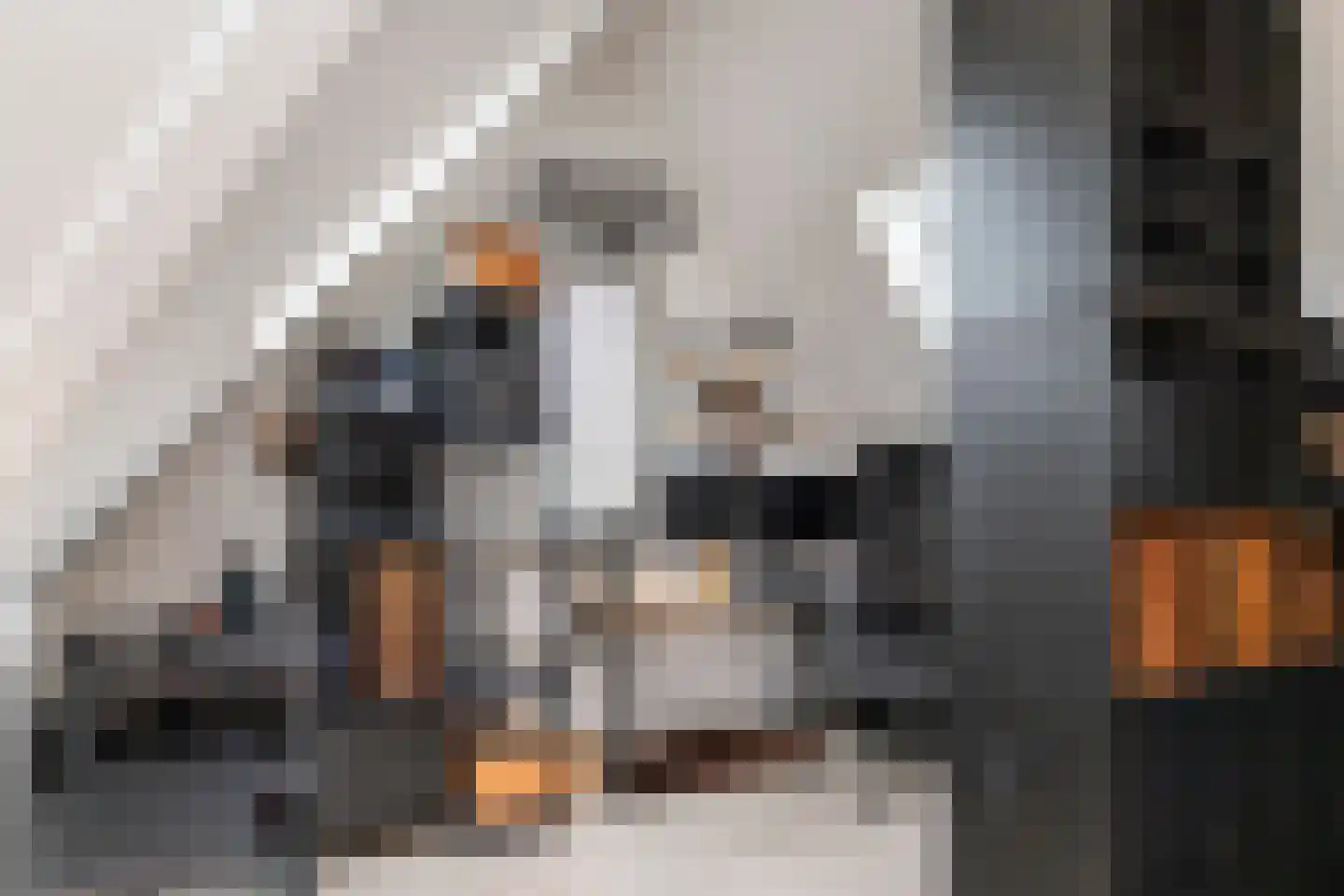 Laan van Bentvelsen 16 Delft thumbnail 37