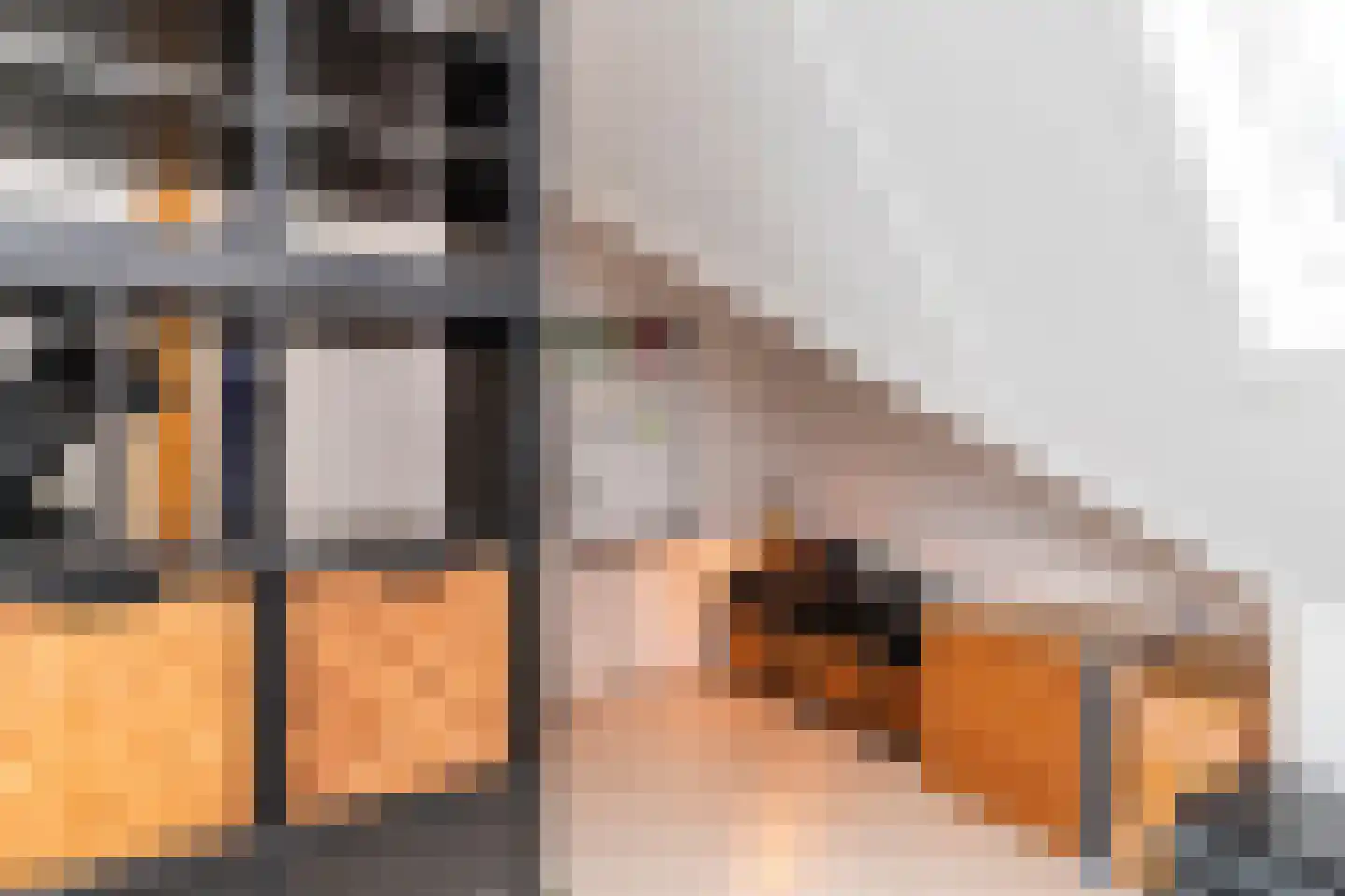 Laan van Bentvelsen 16 Delft thumbnail 38