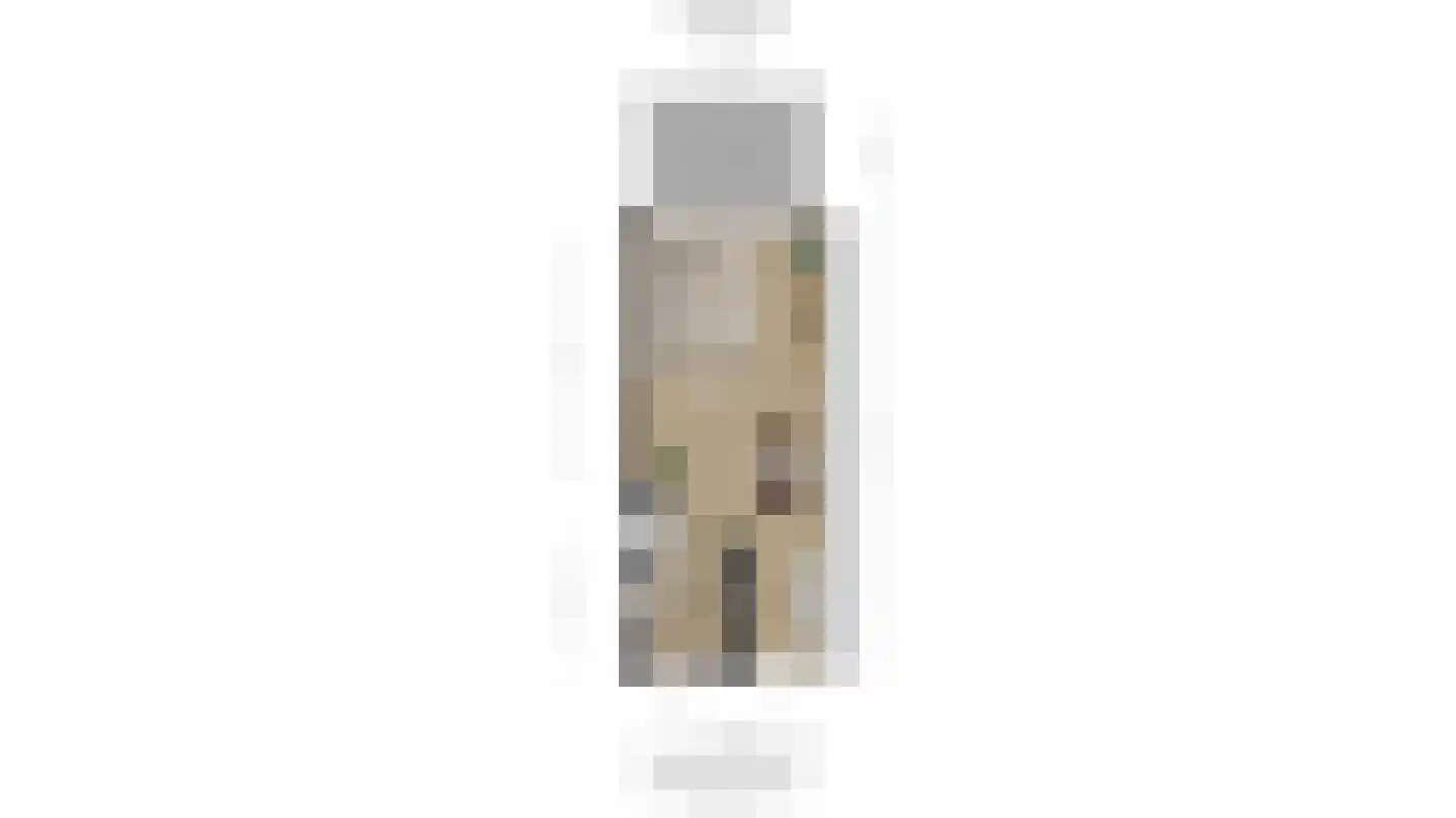 Laan van Bentvelsen 16 Delft thumbnail 47