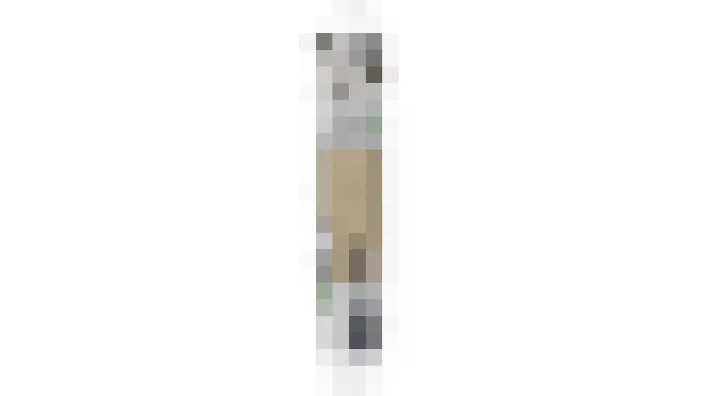 Laan van Bentvelsen 16 Delft thumbnail 50