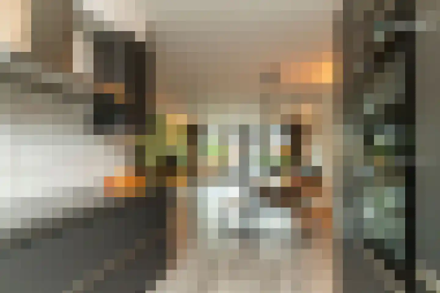 Laan van Bentvelsen 16 Delft thumbnail 9