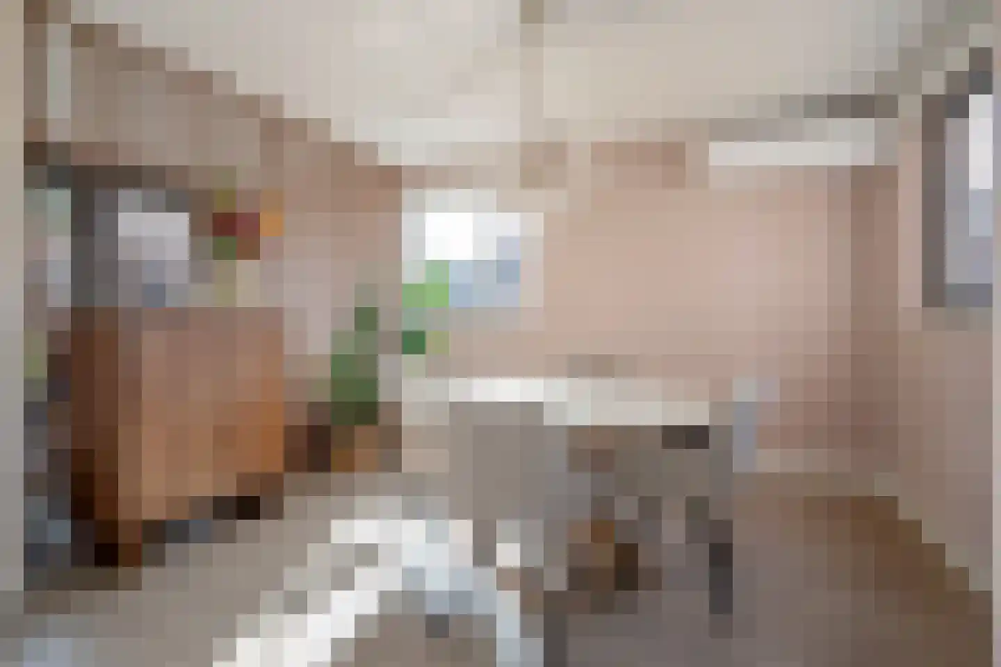Laan van Bentvelsen 2 Delft thumbnail 18