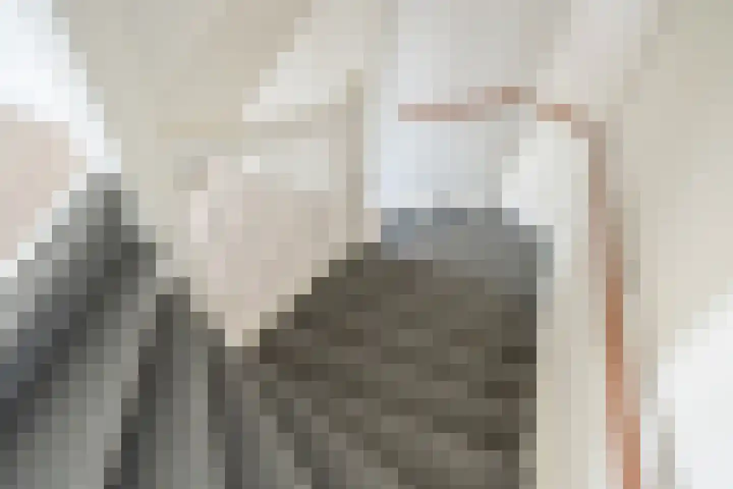 Laan van Bentvelsen 2 Delft thumbnail 33