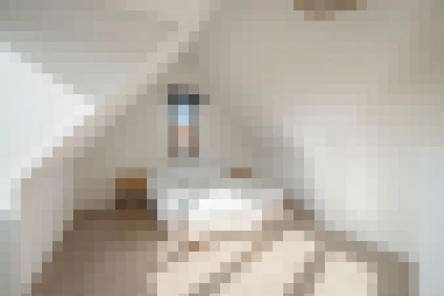 Laan van Bentvelsen 2 Delft thumbnail 36
