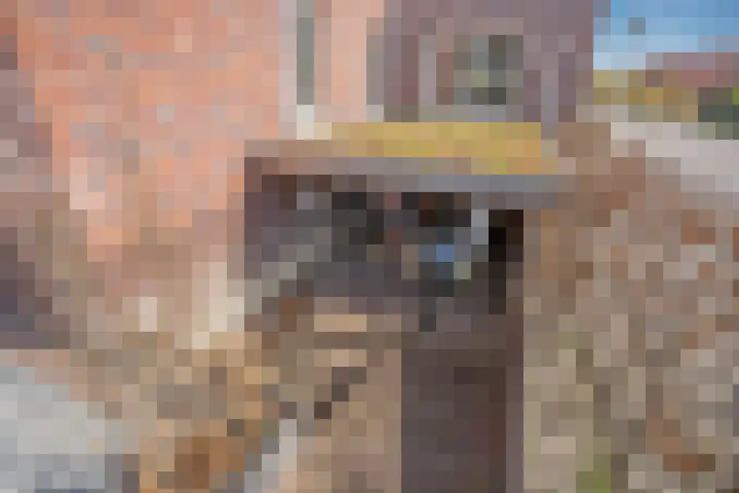 Laan van Bentvelsen 2 Delft thumbnail 7