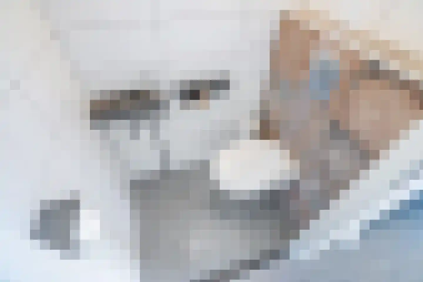 Laan van Bentvelsen 2 Delft thumbnail 9