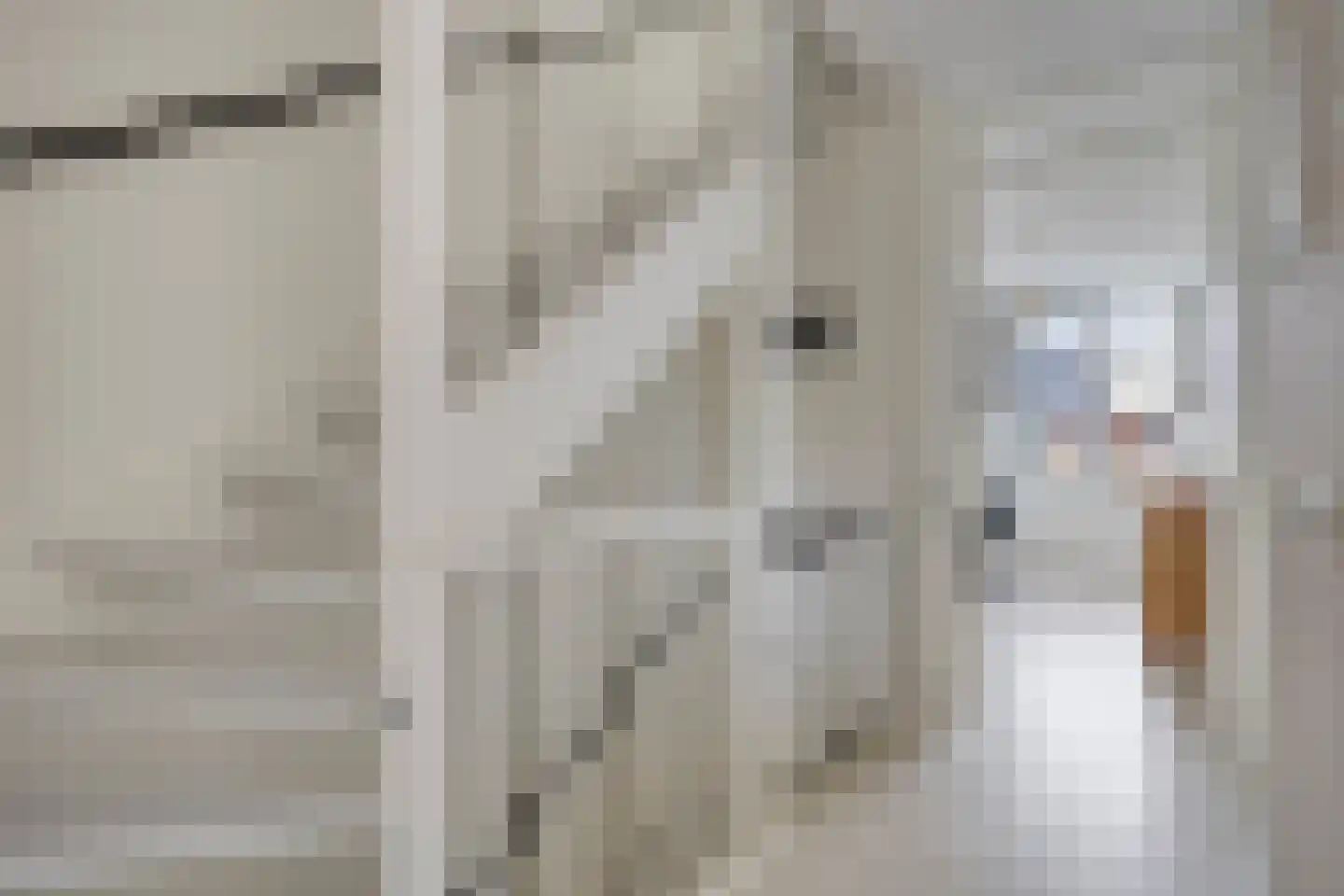 Laan van Bentvelsen 20 Delft thumbnail 23