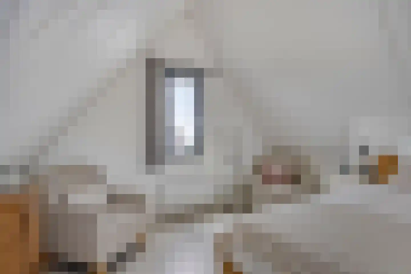 Laan van Bentvelsen 20 Delft thumbnail 26