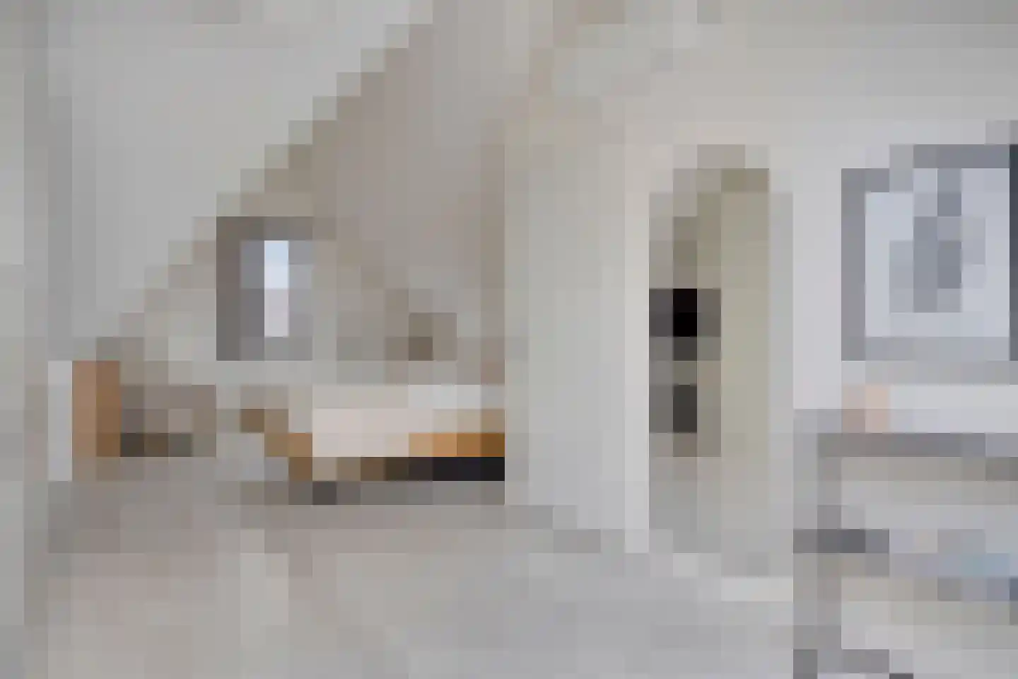 Laan van Bentvelsen 20 Delft thumbnail 29