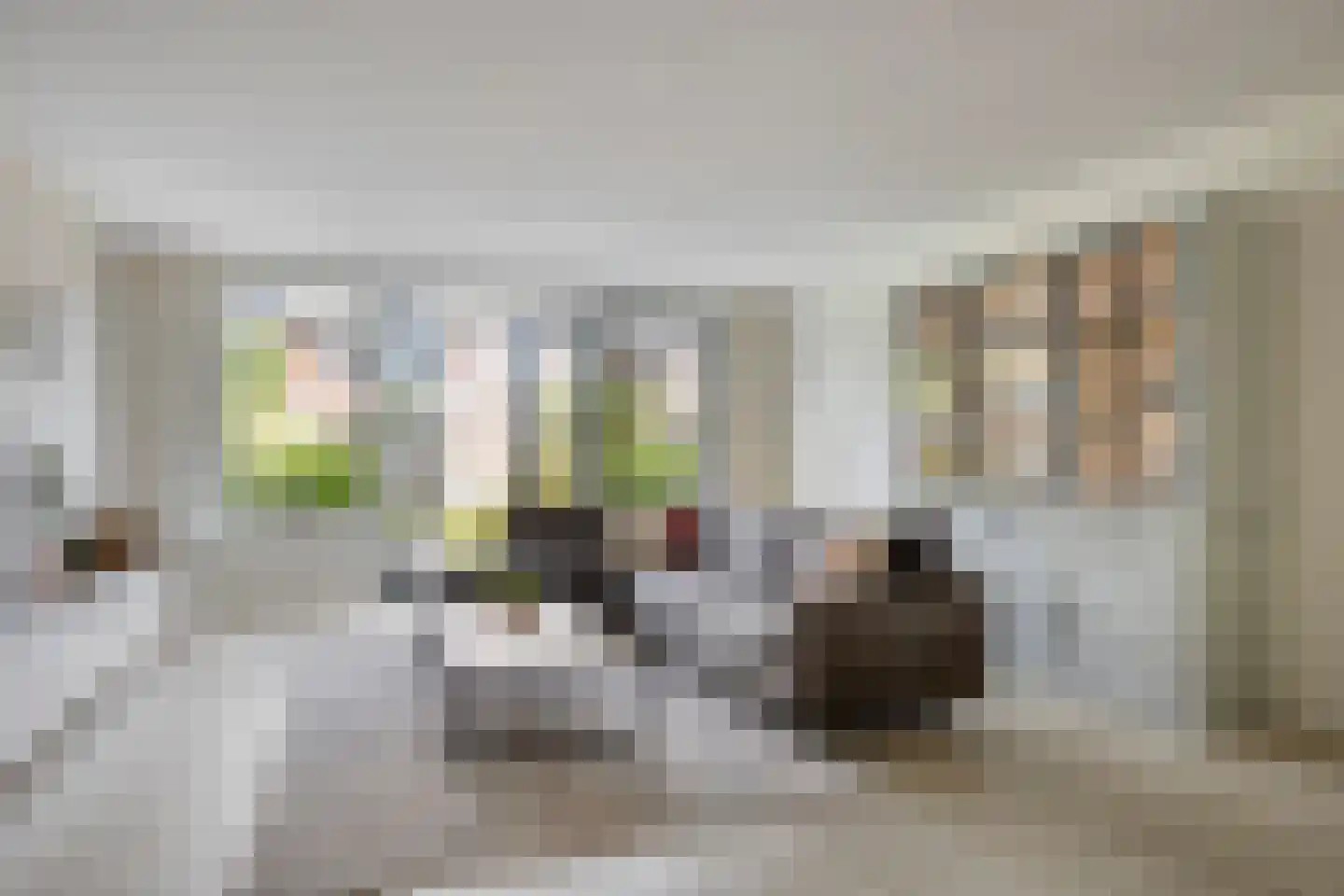 Laan van Bentvelsen 20 Delft thumbnail 7