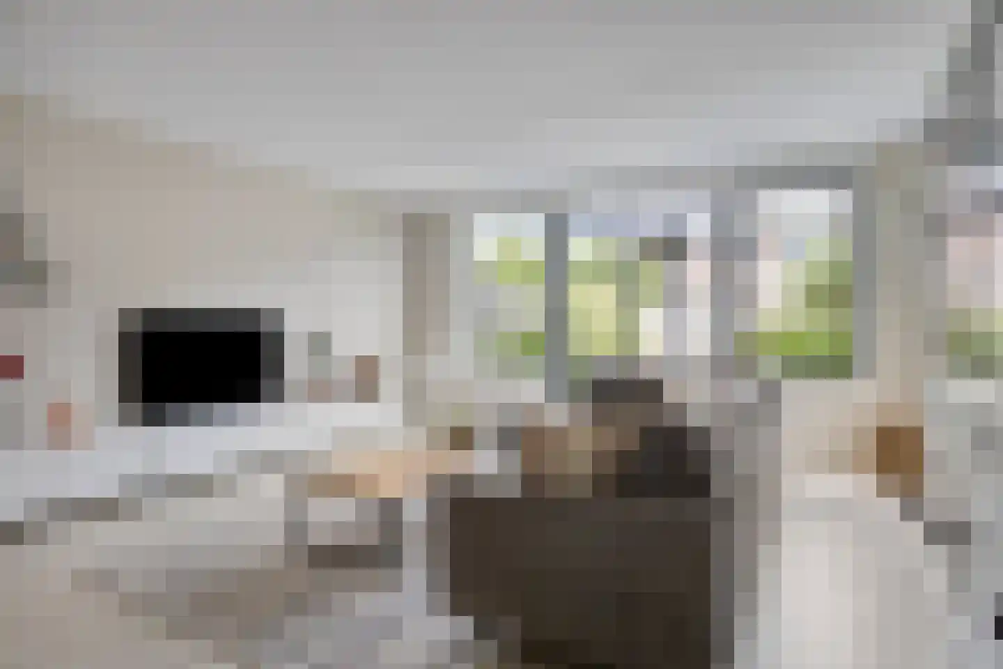 Laan van Bentvelsen 20 Delft thumbnail 8