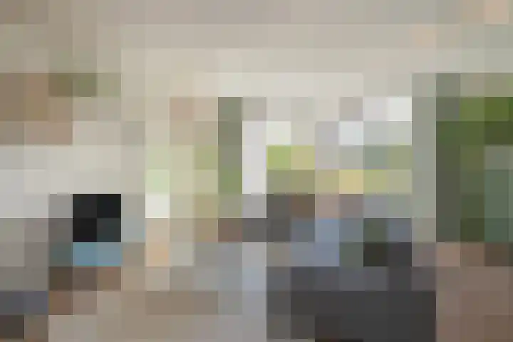 Laan van Bentvelsen 25 B Delft thumbnail 14