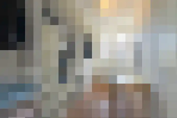 Laan van Bentvelsen 25 B Delft thumbnail 33