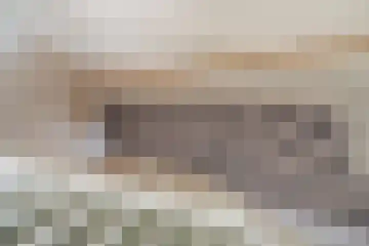 Laan van Bentvelsen 25 B Delft thumbnail 38