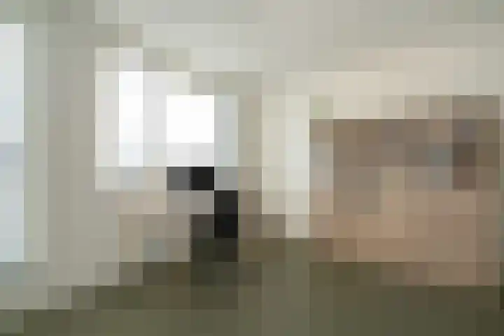 Laan van Bentvelsen 25 B Delft thumbnail 42