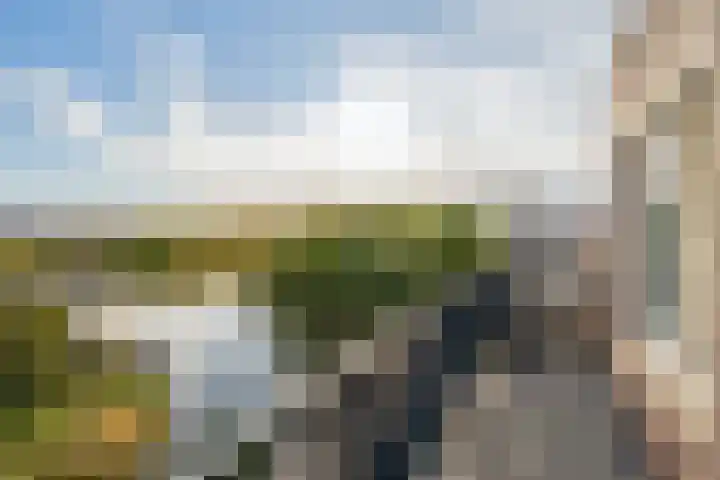 Laan van Bentvelsen 25 B Delft thumbnail 43
