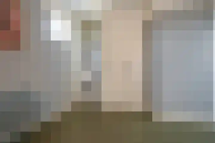 Laan van Bentvelsen 25 B Delft thumbnail 45