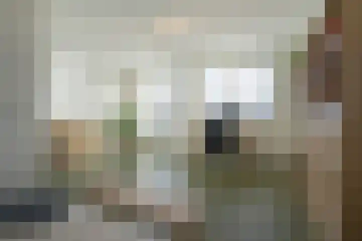 Laan van Bentvelsen 25 B Delft thumbnail 6