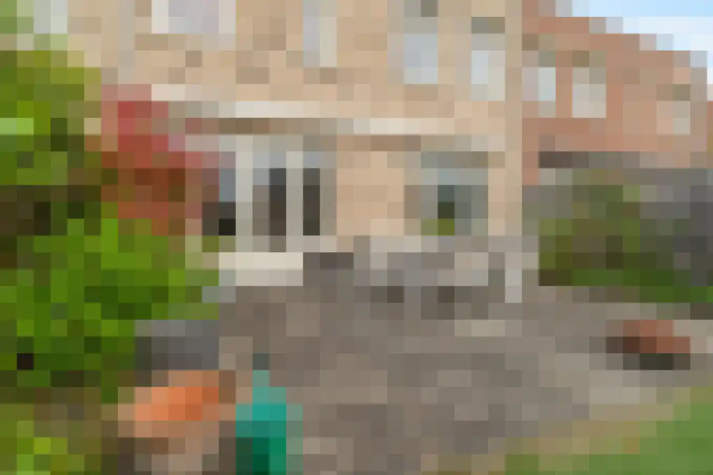 Laan van Bentvelsen 38 A Delft thumbnail 21