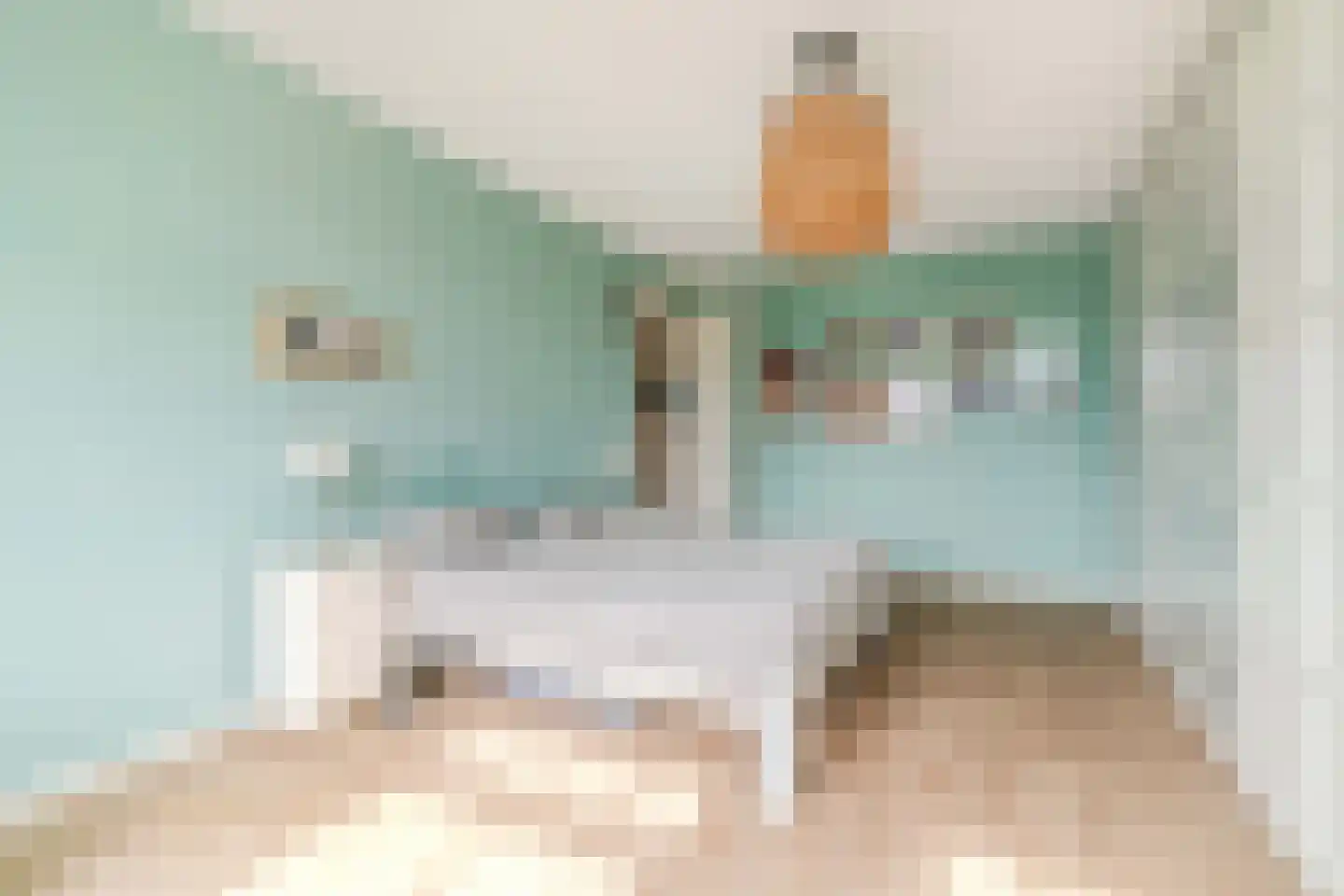 Laan van Bentvelsen 38 A Delft thumbnail 35