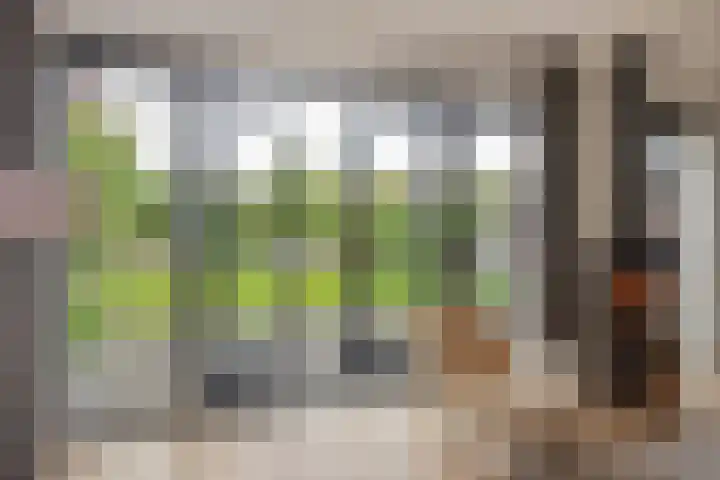 Laan van Bentvelsen 51 Delft thumbnail 18