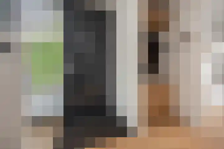 Laan van Bentvelsen 51 Delft thumbnail 6