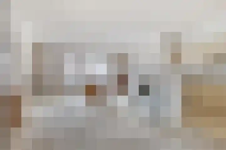 Laan van Berendrecht 268 Leiderdorp thumbnail 16
