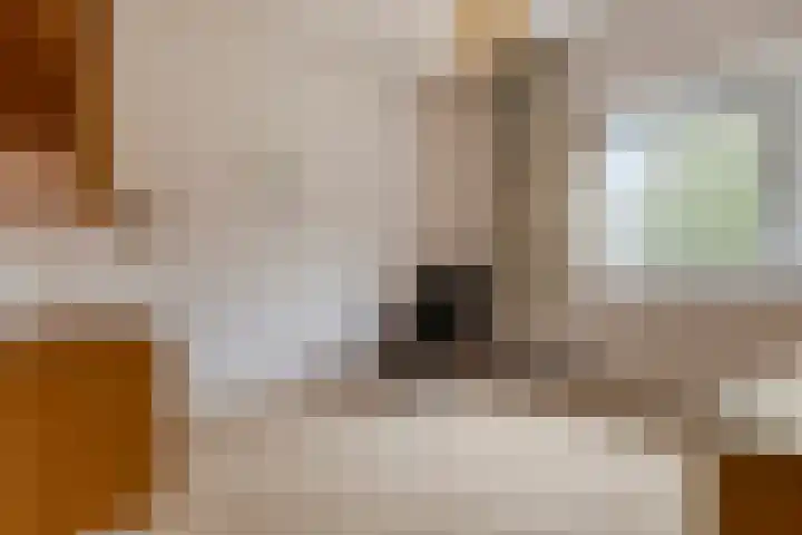 Laan van Berendrecht 268 Leiderdorp thumbnail 31