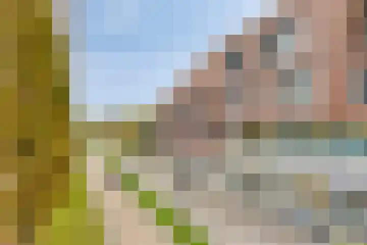 Laan van Berendrecht 268 Leiderdorp thumbnail 34