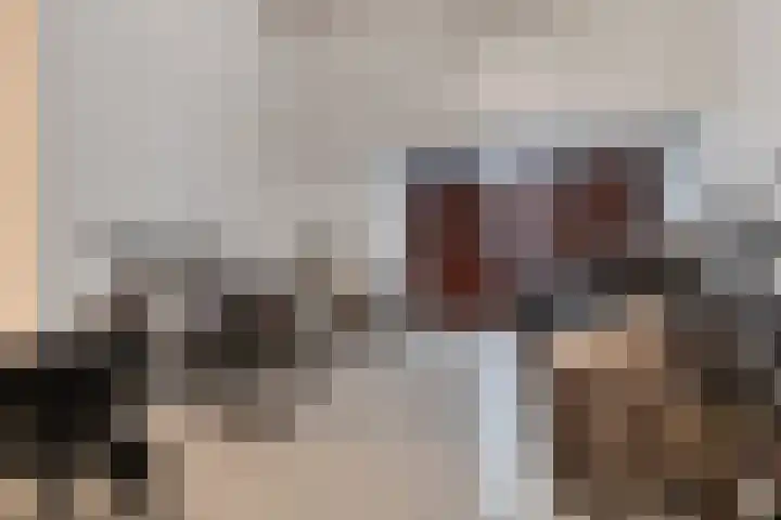 Laan van Berendrecht 268 Leiderdorp thumbnail 37