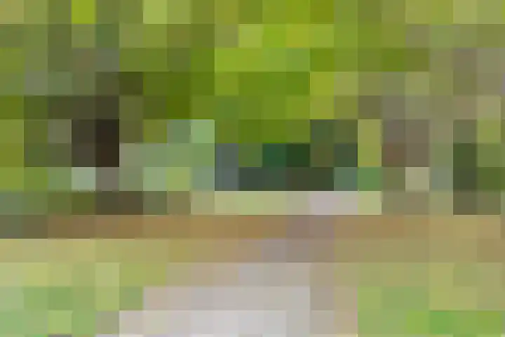 Laan van Berendrecht 268 Leiderdorp thumbnail 39