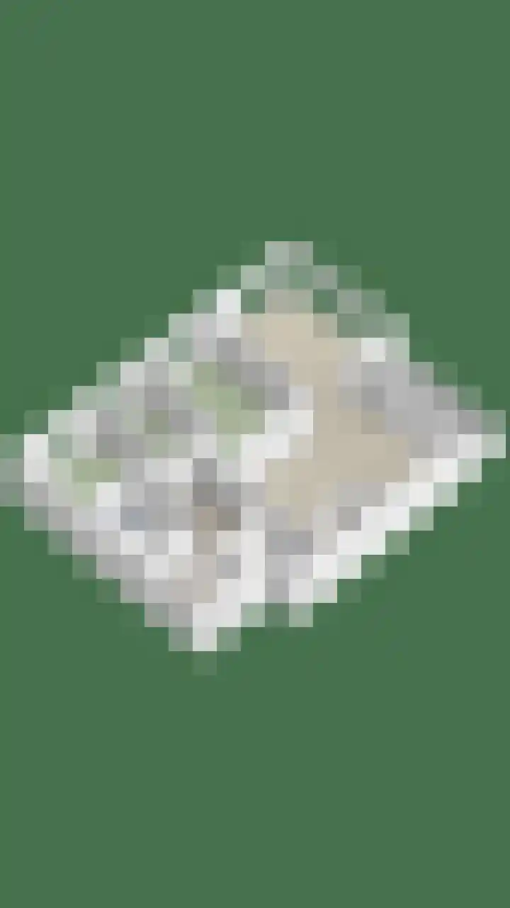 Laan van Berendrecht 268 Leiderdorp thumbnail 42
