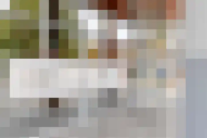 Laan van Berendrecht 268 Leiderdorp thumbnail 7