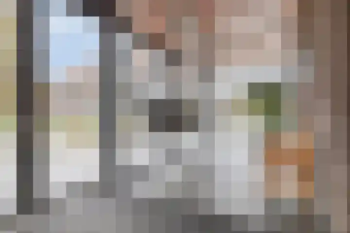 Laan van Berendrecht 268 Leiderdorp thumbnail 8
