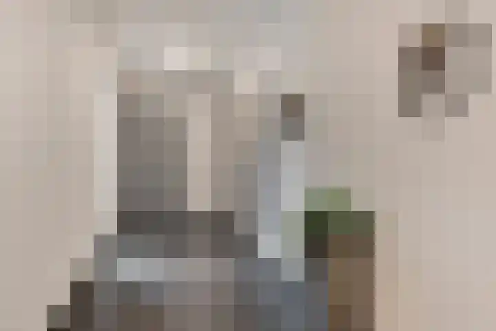 Laan van Berendrecht 268 Leiderdorp thumbnail 9
