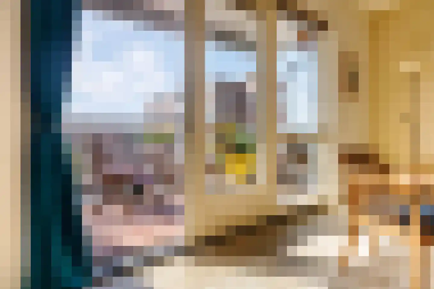 Laan van Berendrecht 288 Leiderdorp thumbnail 11