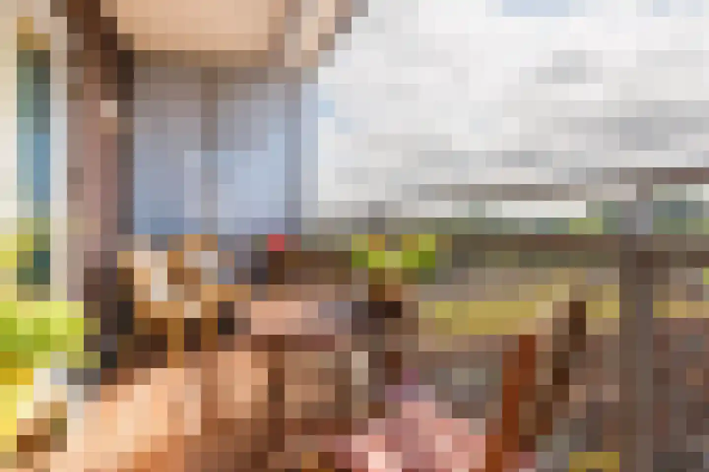 Laan van Berendrecht 288 Leiderdorp thumbnail 14