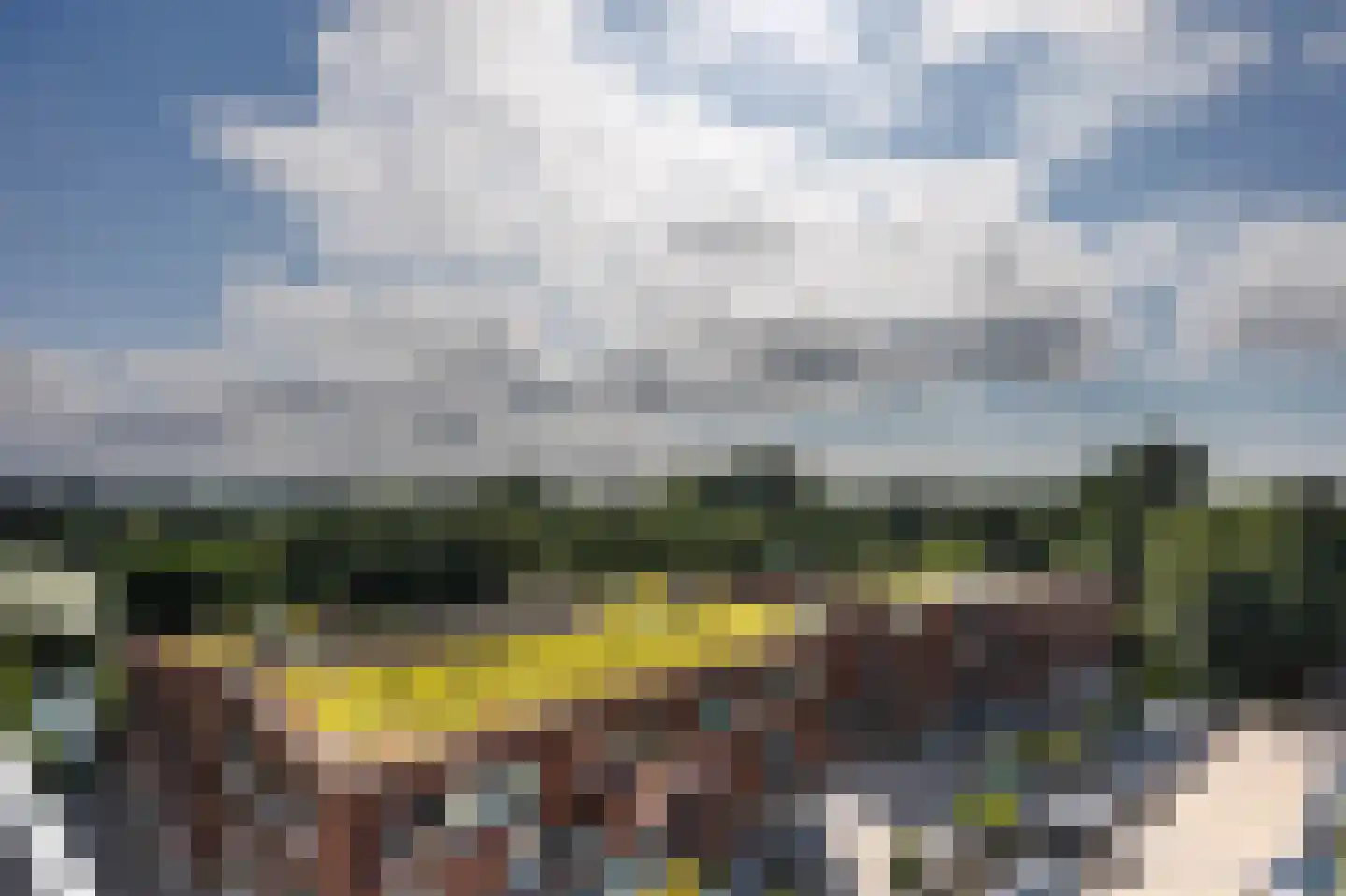 Laan van Berendrecht 288 Leiderdorp thumbnail 17