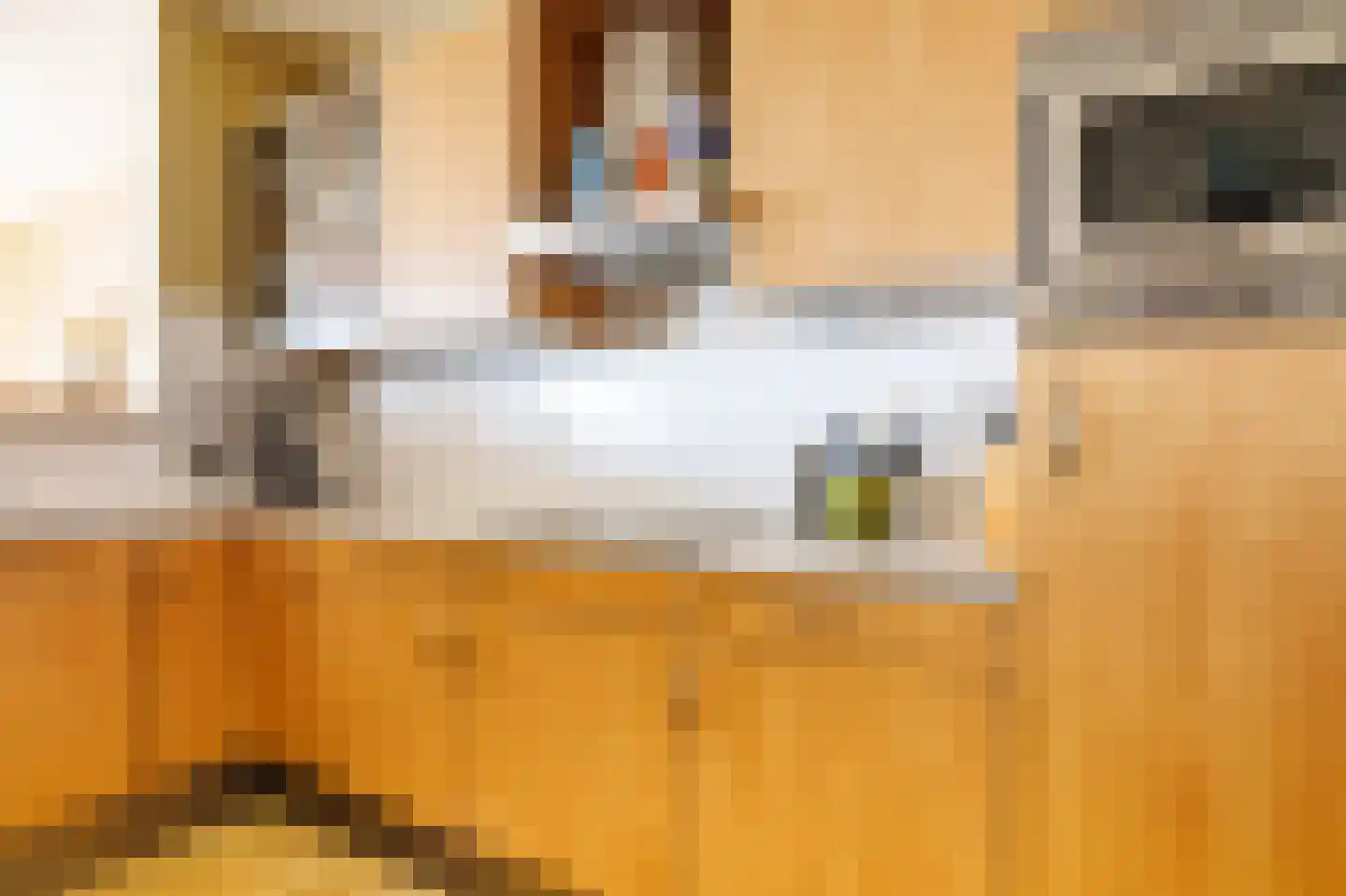 Laan van Berendrecht 288 Leiderdorp thumbnail 21