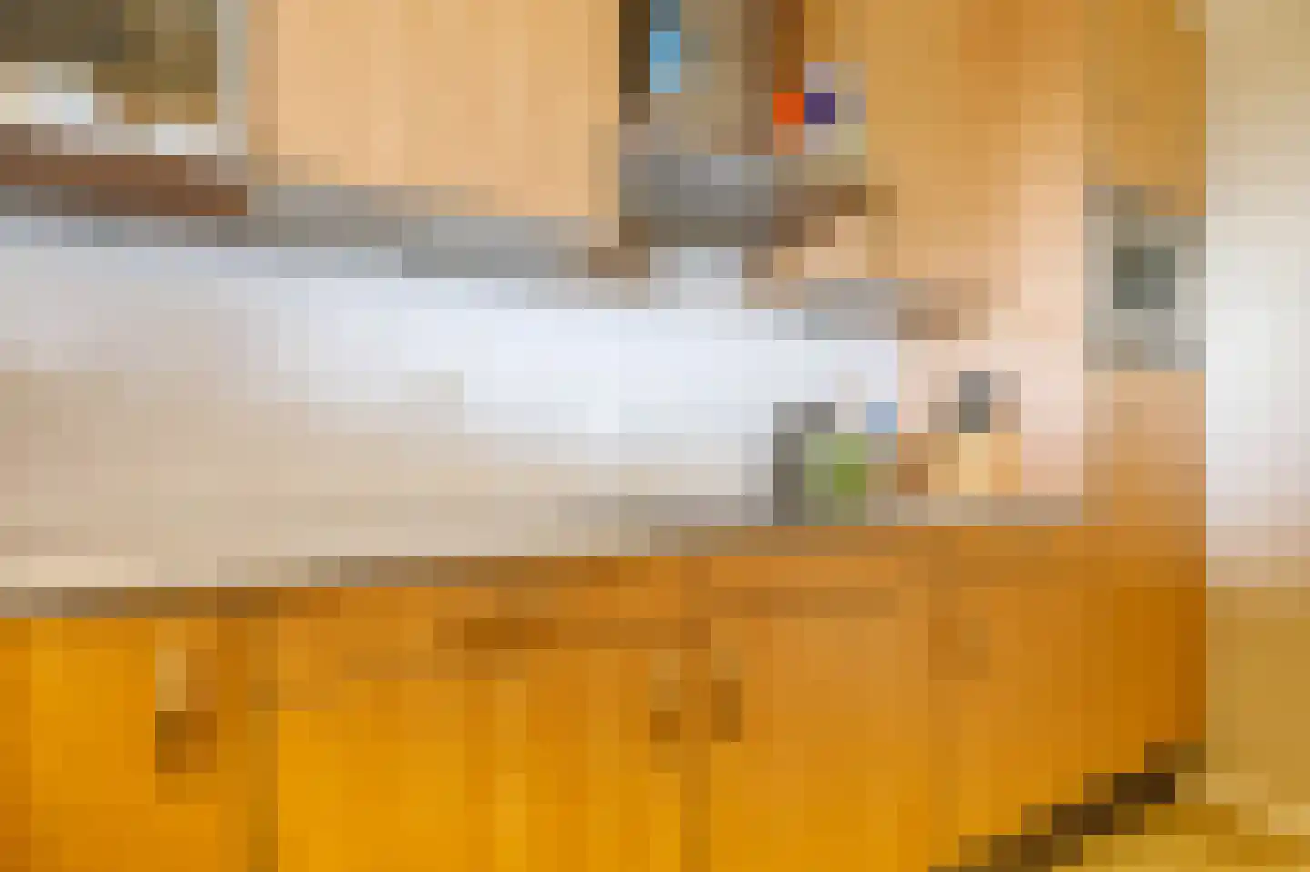 Laan van Berendrecht 288 Leiderdorp thumbnail 22