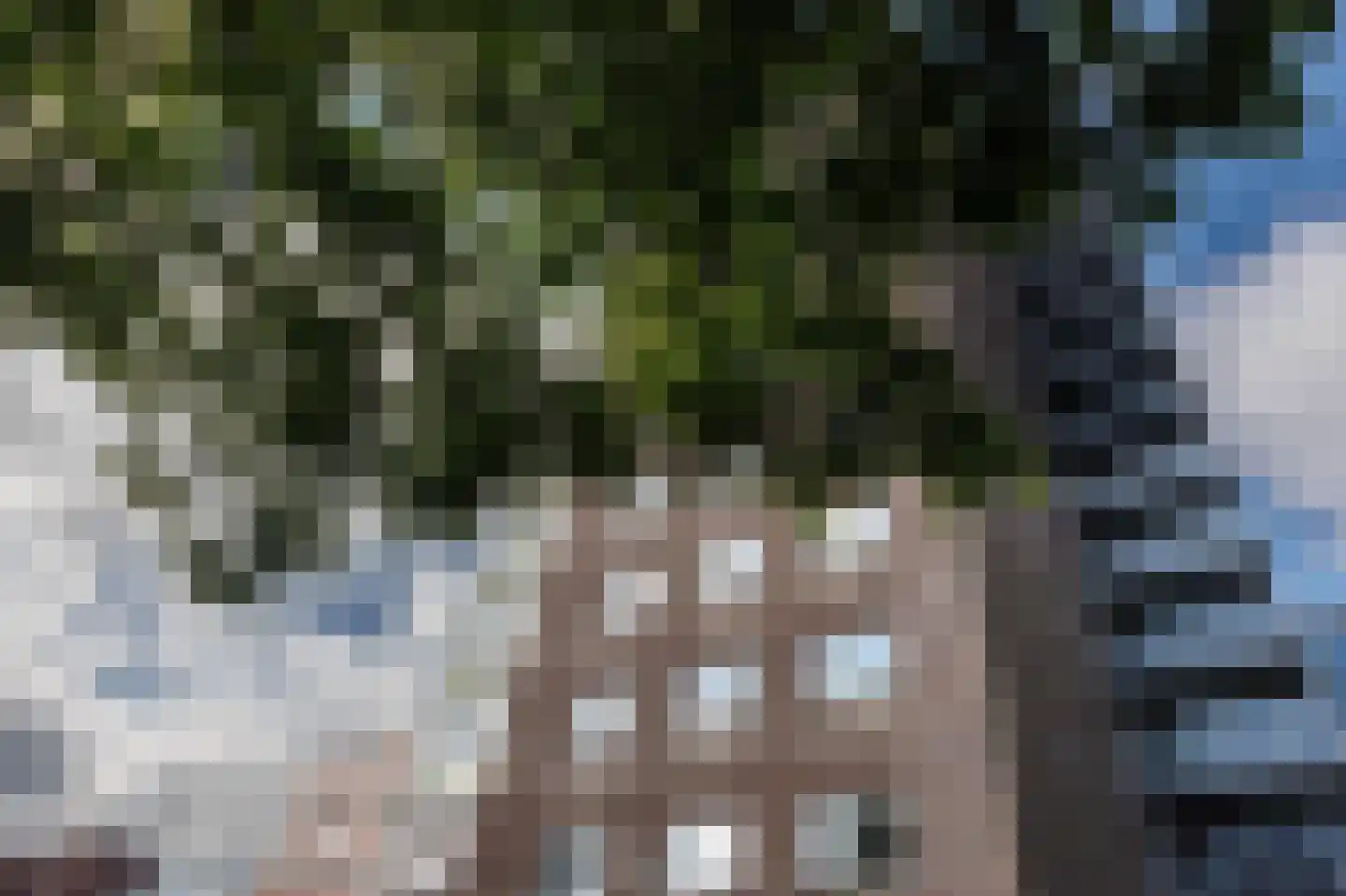 Laan van Berendrecht 288 Leiderdorp thumbnail 48