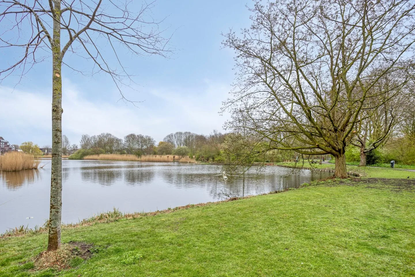 Laan van Berendrecht 292 Leiderdorp thumbnail 52