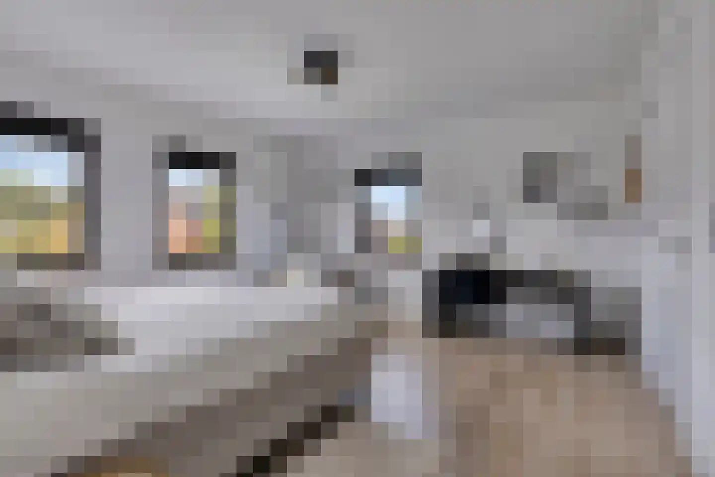 Laan van Bergama 29 Alkmaar thumbnail 23