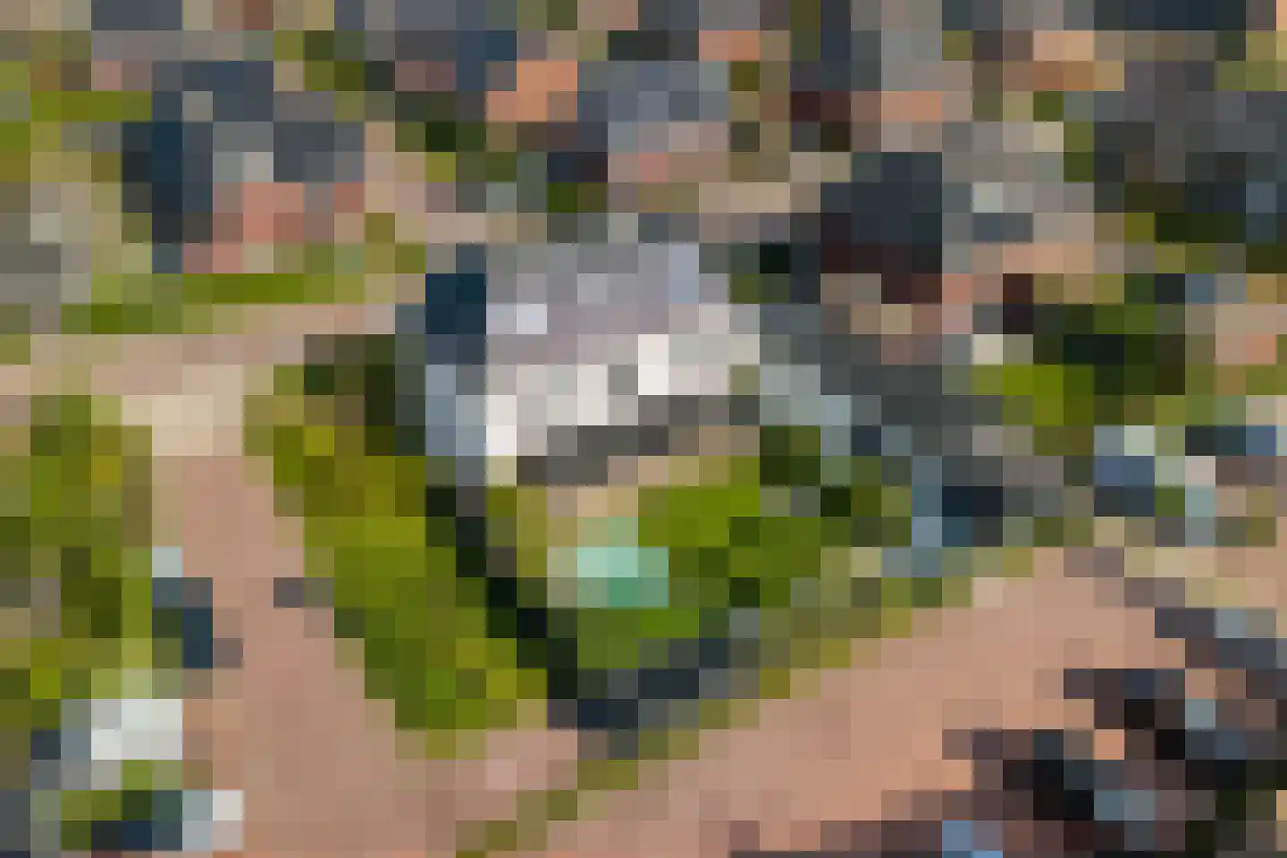 Laan van Bergama 29 Alkmaar thumbnail 65