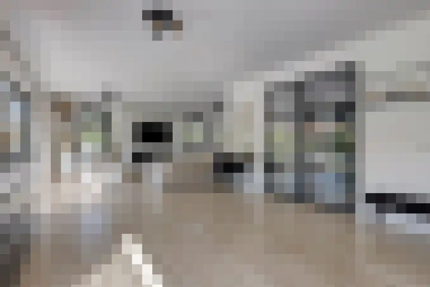 Laan van Bergama 29 Alkmaar thumbnail 8