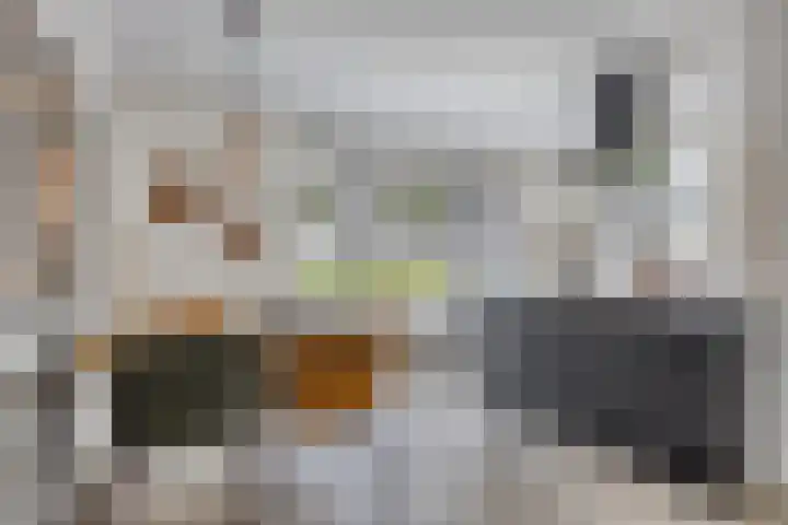 Laan van Bergama 45 Alkmaar thumbnail 12