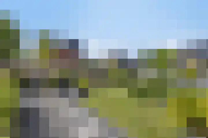 Laan van Bergama 45 Alkmaar thumbnail 25