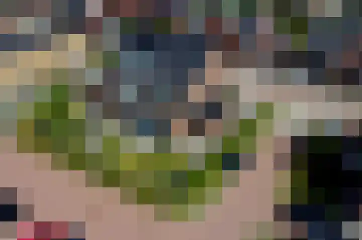 Laan van Bergama 45 Alkmaar thumbnail 27