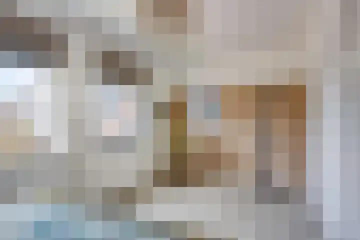 Laan van Bergama 45 Alkmaar thumbnail 30