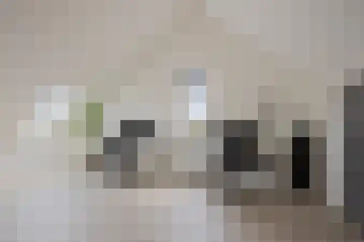 Laan van Bergama 45 Alkmaar thumbnail 38